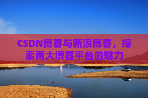 CSDN博客与新浪博客，探索两大博客平台的魅力